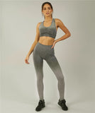 Ombre Seamless Tummy Control  Yoga Pants