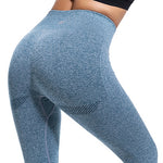 Ombre Seamless Tummy Control  Yoga Pants