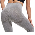 Ombre Seamless Tummy Control  Yoga Pants